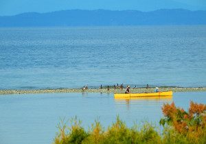 Photo of Canoe