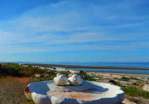 Photo of the Beach